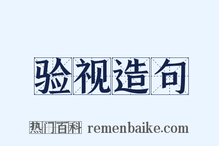 验视造句是什么意思的图片